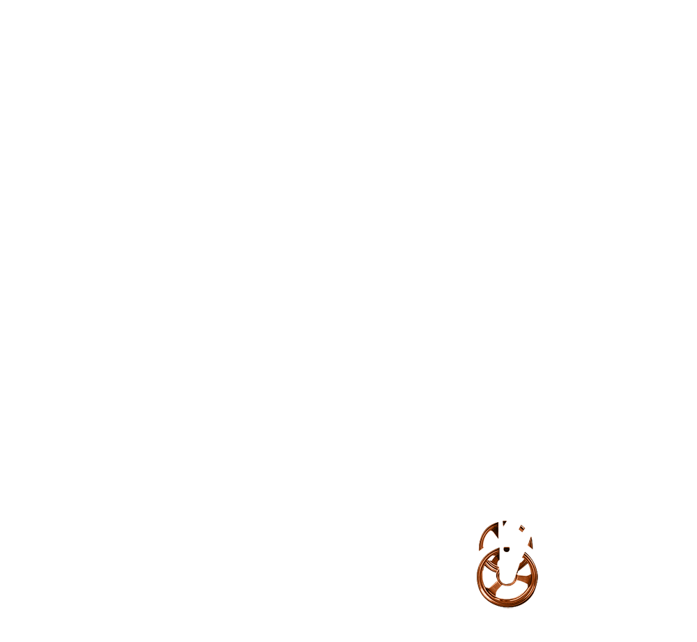 Castor Wheel